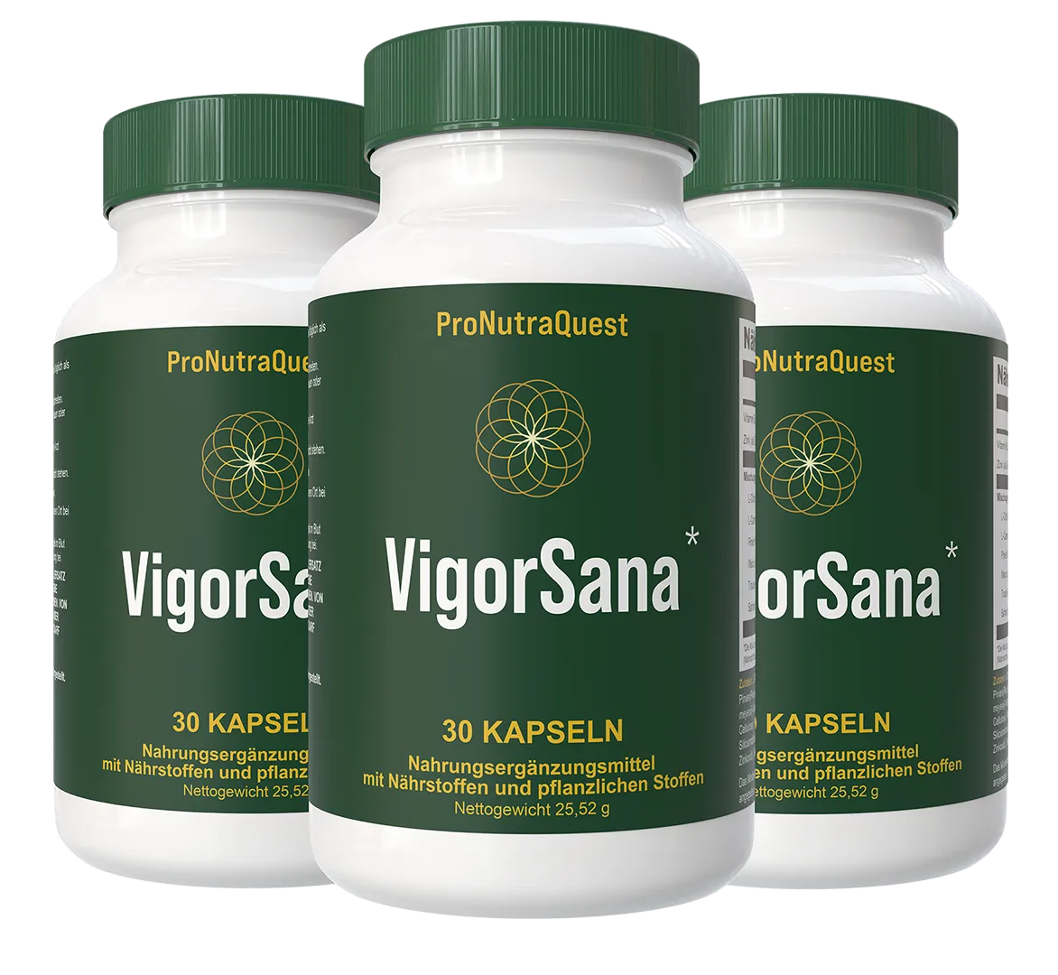 VigorSana – US-Klinik-Protokoll Kapseln